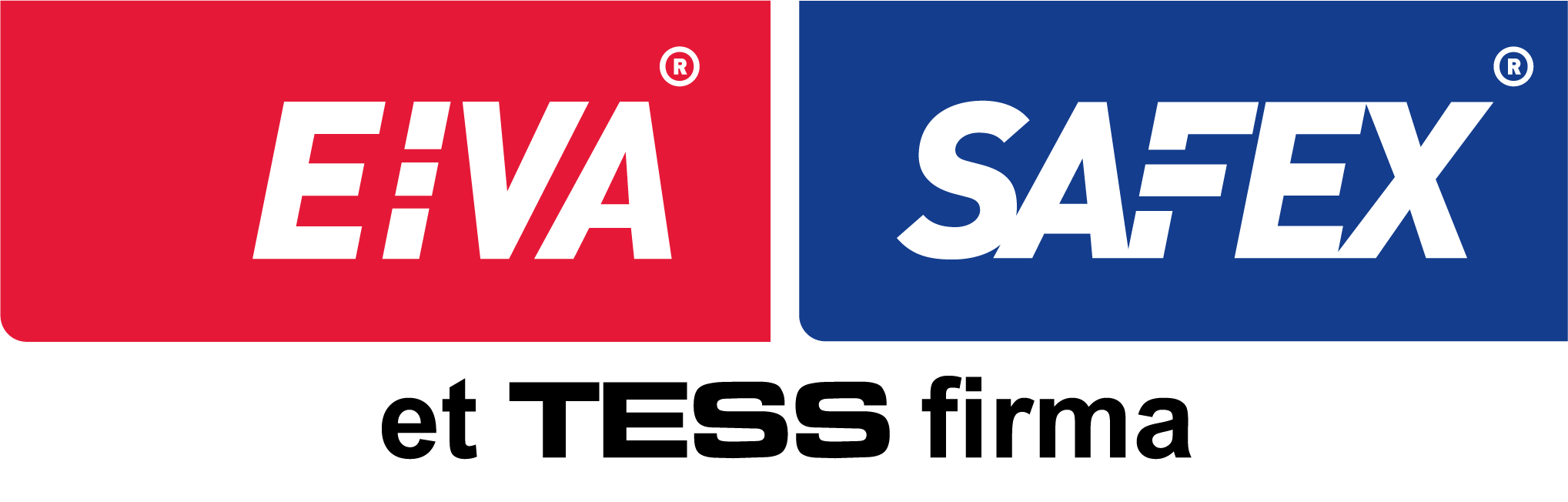 Eiva Safex