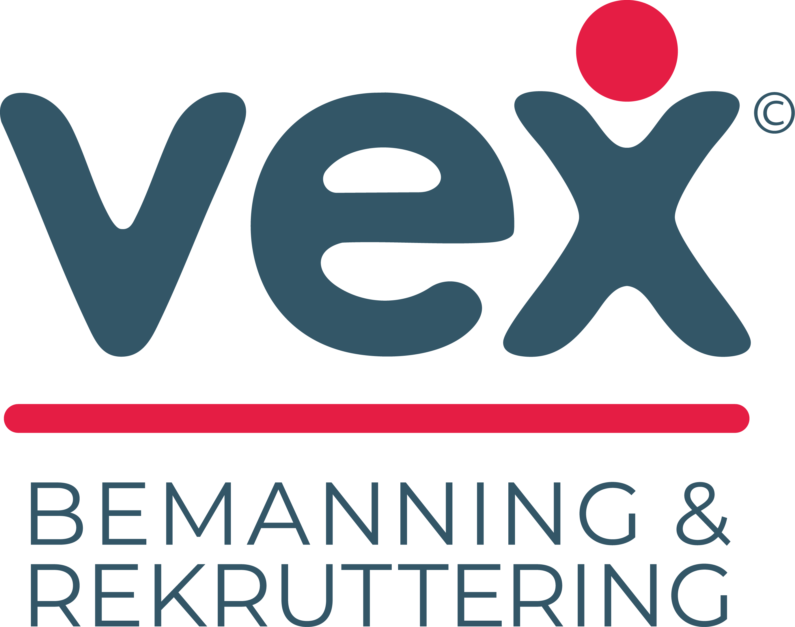 VEX Gruppen