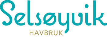 Selsøyvik Havbruk